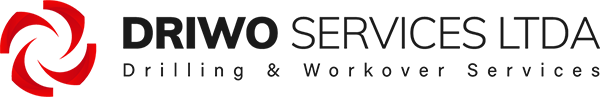 DRIWO Services